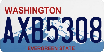 WA license plate AXB5308