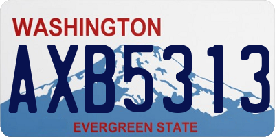 WA license plate AXB5313