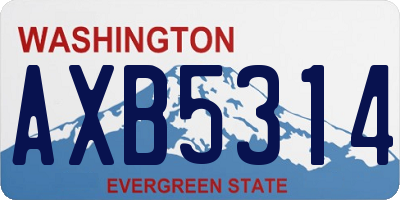 WA license plate AXB5314