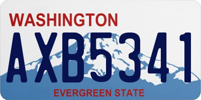 WA license plate AXB5341