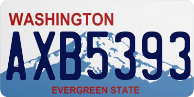 WA license plate AXB5393
