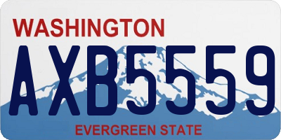 WA license plate AXB5559