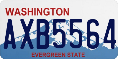 WA license plate AXB5564