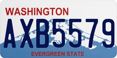 WA license plate AXB5579