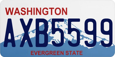 WA license plate AXB5599