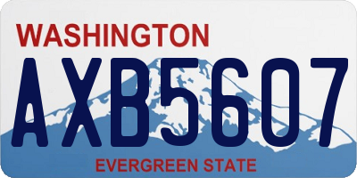 WA license plate AXB5607