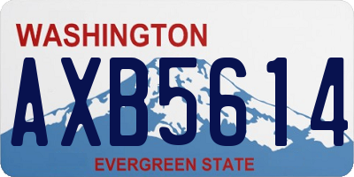 WA license plate AXB5614