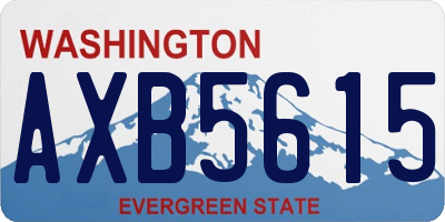 WA license plate AXB5615
