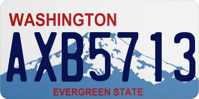 WA license plate AXB5713