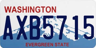 WA license plate AXB5715