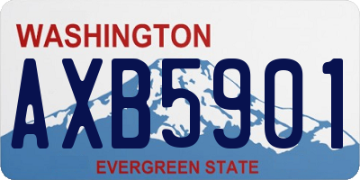 WA license plate AXB5901