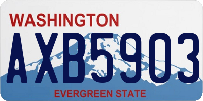WA license plate AXB5903