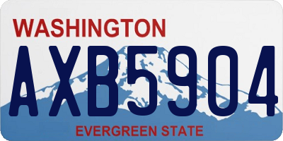 WA license plate AXB5904
