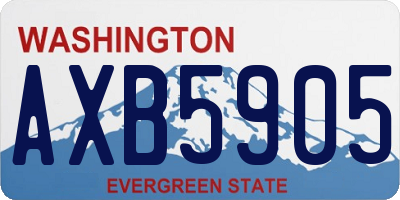 WA license plate AXB5905