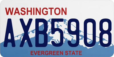 WA license plate AXB5908