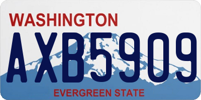 WA license plate AXB5909