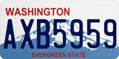 WA license plate AXB5959