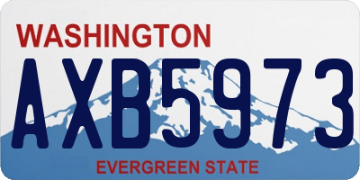 WA license plate AXB5973