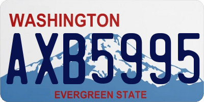 WA license plate AXB5995