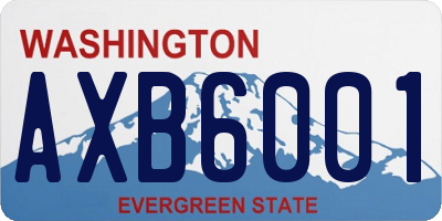 WA license plate AXB6001