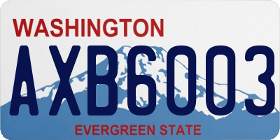 WA license plate AXB6003