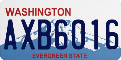 WA license plate AXB6016