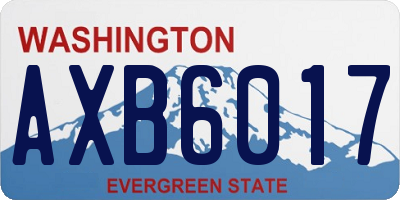 WA license plate AXB6017