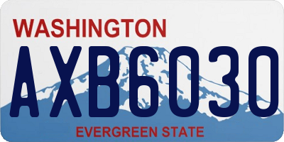 WA license plate AXB6030