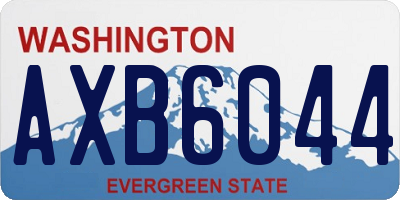 WA license plate AXB6044