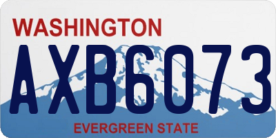 WA license plate AXB6073