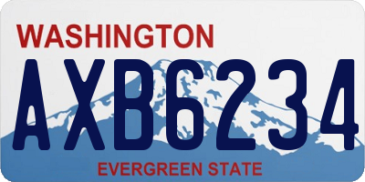 WA license plate AXB6234