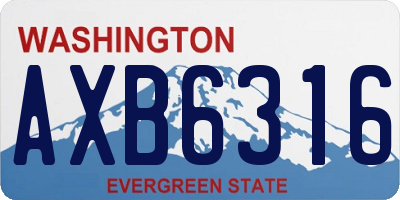 WA license plate AXB6316