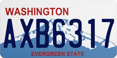WA license plate AXB6317