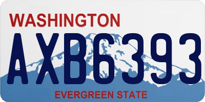 WA license plate AXB6393