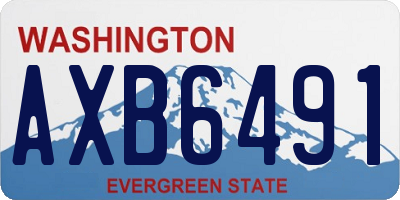 WA license plate AXB6491