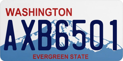 WA license plate AXB6501