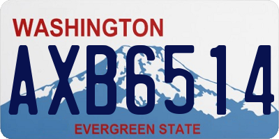 WA license plate AXB6514
