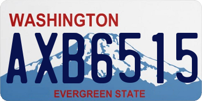 WA license plate AXB6515