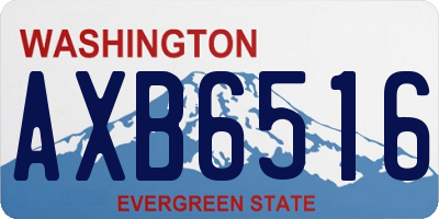WA license plate AXB6516