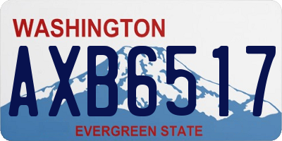 WA license plate AXB6517