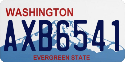 WA license plate AXB6541