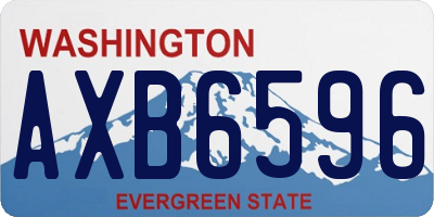 WA license plate AXB6596