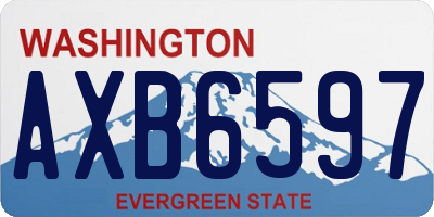 WA license plate AXB6597