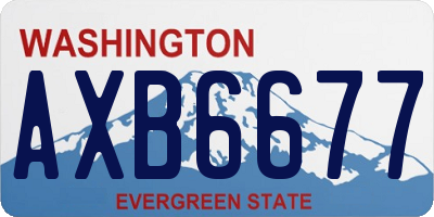 WA license plate AXB6677