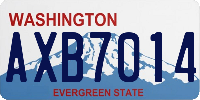 WA license plate AXB7014