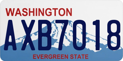 WA license plate AXB7018