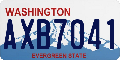 WA license plate AXB7041