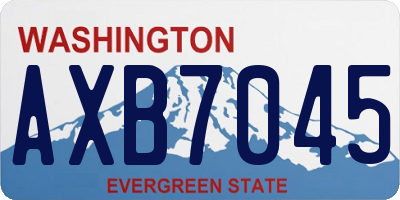 WA license plate AXB7045