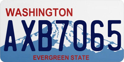 WA license plate AXB7065