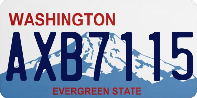 WA license plate AXB7115